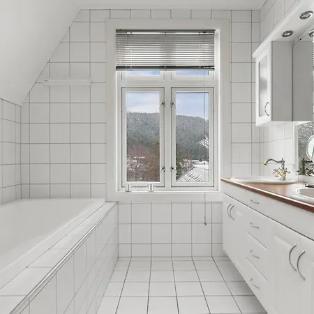 Apartment Sentrumsnaer Leilighet Med Hoy Standard Til Utleie. Fosnavag
